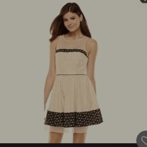 Lauren Conrad floral lace fit & flare dress cream, sleeveless, Size 6